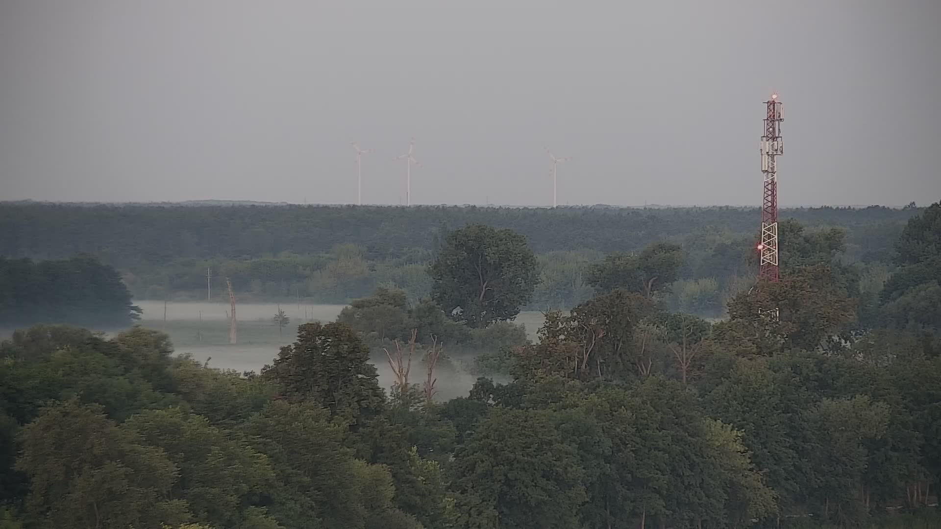 Wągrowiec - panorama miasta